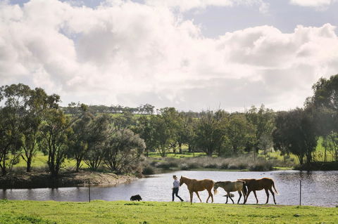 Daisy Cottage - QLD Tourism 28