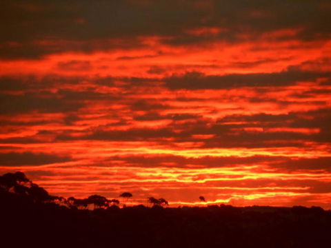 Tennessee Hill Chalets - QLD Tourism 3