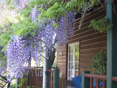 RoseMoore Bed & Breakfast - Queensland Tourism 11