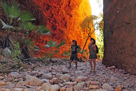 Bungle Bungle Wilderness Lodge - QLD Tourism 13