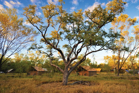 Bungle Bungle Wilderness Lodge - QLD Tourism 11