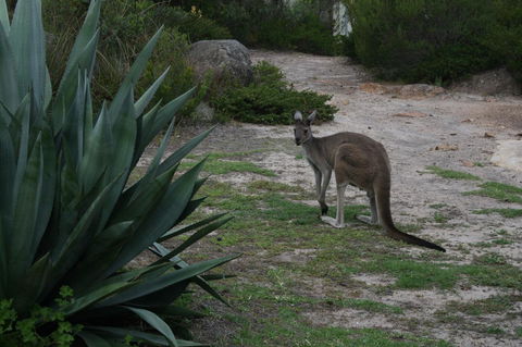 Aqua Views - Queensland Tourism 15
