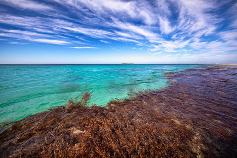 Discovery Resorts - Rottnest Island - Queensland Tourism 24