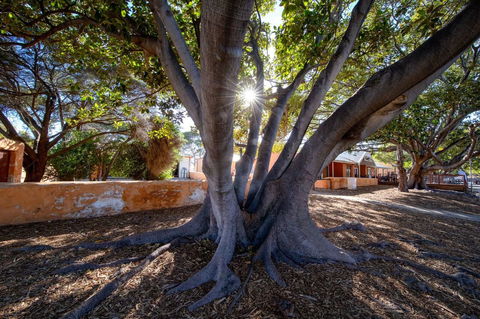 Discovery Resorts - Rottnest Island - Queensland Tourism 23