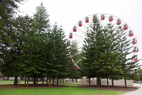 The Local - Fremantle Apartment - Queensland Tourism 16