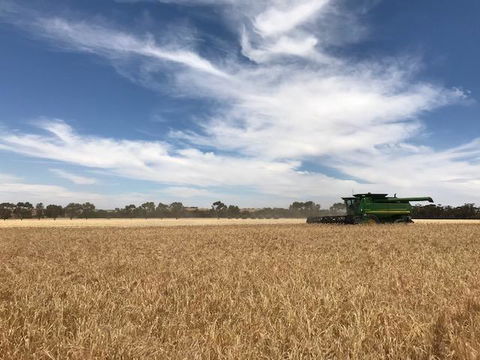 The Mains Guest House 2 Bedroom Farm Stay - QLD Tourism 17