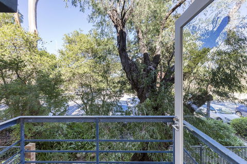 Cottesloe Tree Top Studio - Executive Escapes - Queensland Tourism 10
