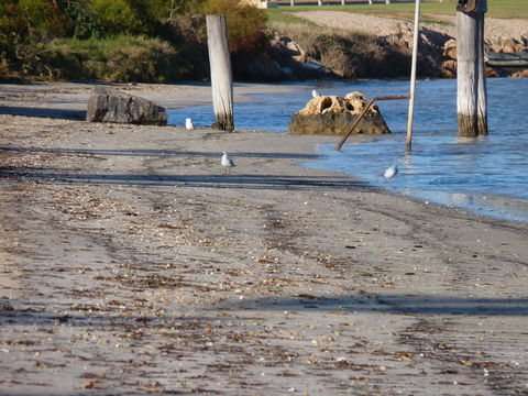 Leander Reef Holiday Park - Queensland Tourism 6