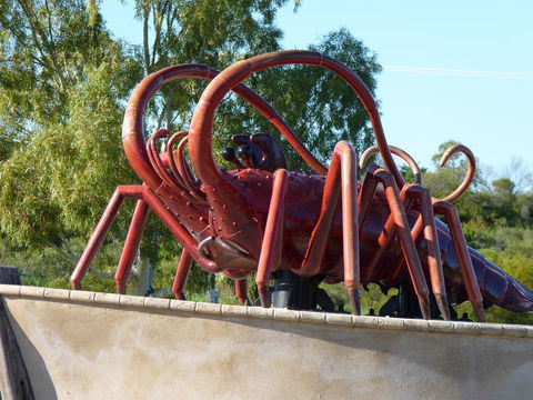 Leander Reef Holiday Park - Queensland Tourism 4