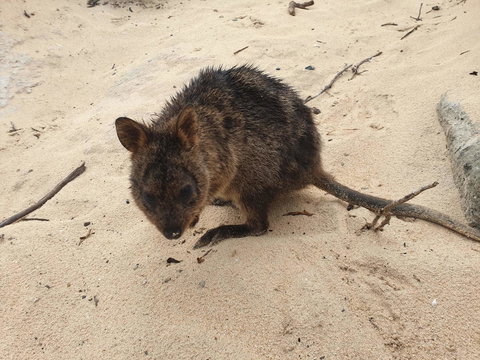 Sea-Esta - Queensland Tourism 21