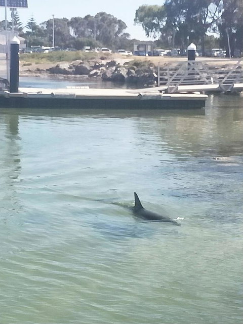 Sea-Esta - Queensland Tourism 26