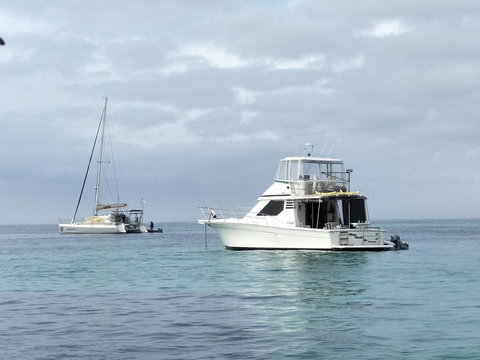 Sea-Esta - Queensland Tourism 28