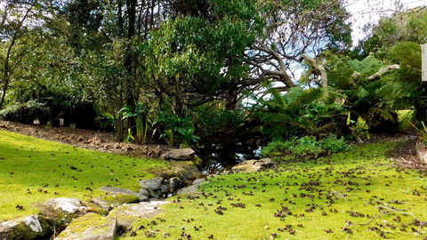 43 Degrees Bruny Island - QLD Tourism 8