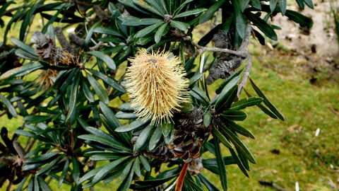 43 Degrees Bruny Island - QLD Tourism 11