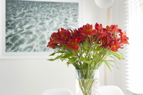 On The Beach Waterfront Apartment - Queensland Tourism 0