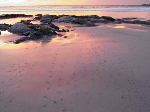Beachend Bicheno - QLD Tourism 2