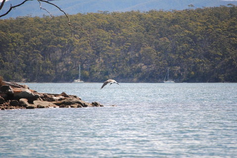 A Slice Of Paradise - QLD Tourism 18
