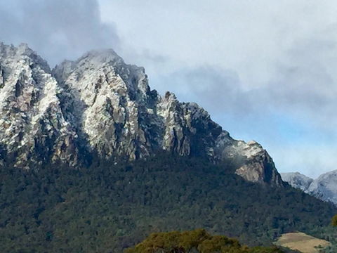 Manna Hill Farm - QLD Tourism 9