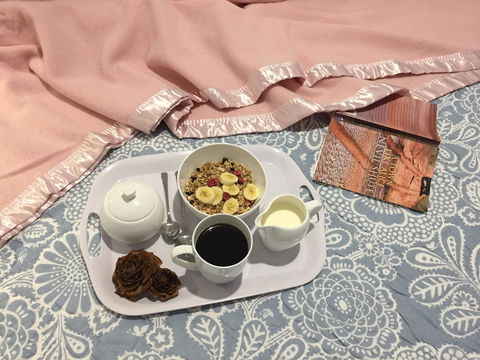 Manna Hill Farm - QLD Tourism 34