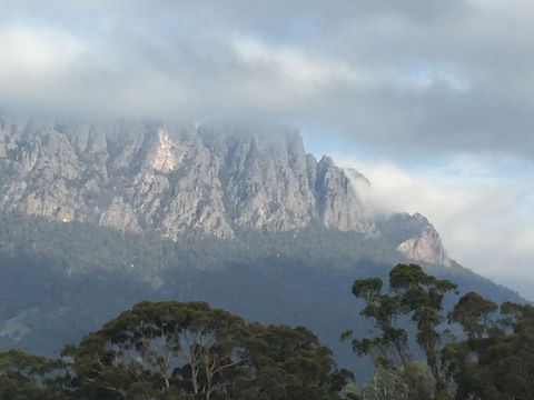 Manna Hill Farm - QLD Tourism 30
