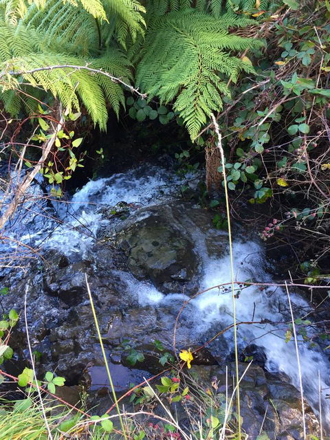 Manna Hill Farm - QLD Tourism 26