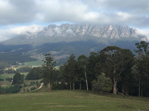 Manna Hill Farm - QLD Tourism 31