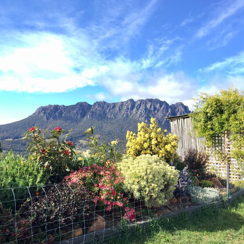 Manna Hill Farm - QLD Tourism 1