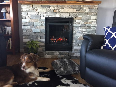 Manna Hill Farm - QLD Tourism 12