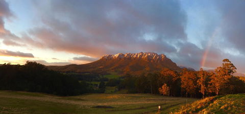 Manna Hill Farm - QLD Tourism 5