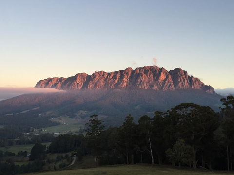 Manna Hill Farm - QLD Tourism 29