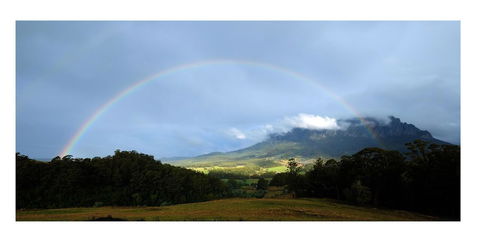 Manna Hill Farm - QLD Tourism 8
