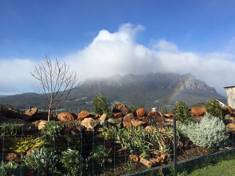 Manna Hill Farm - QLD Tourism 25