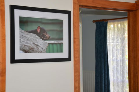 Castaway Holiday Apartments - QLD Tourism 3