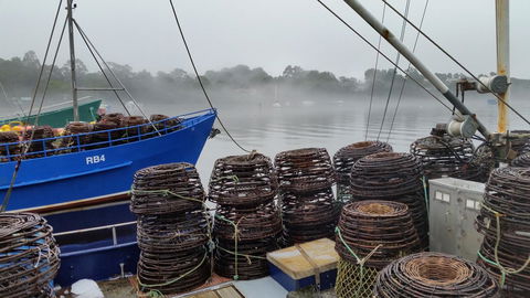 Castaway Holiday Apartments - QLD Tourism 4