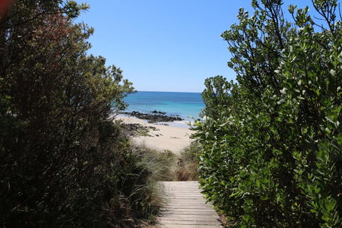 Sisters Beach Paradise - QLD Tourism 12