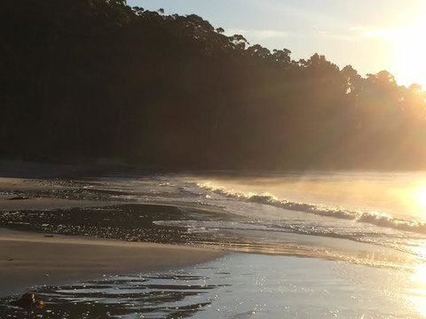 Summertime Cottage - QLD Tourism 7