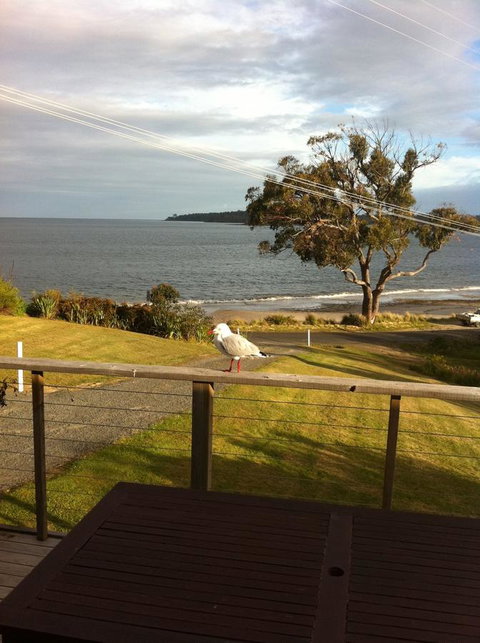 Summertime Cottage - QLD Tourism 30