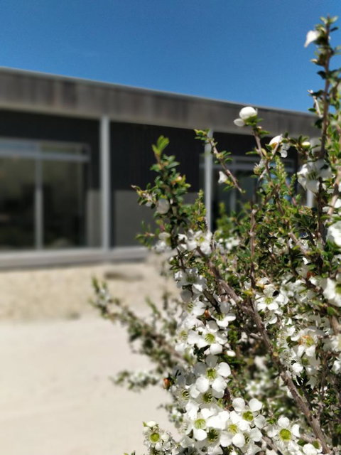 Aplite House - Queensland Tourism 7