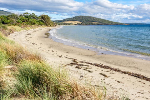 Omaroo Cottage Bruny Island - QLD Tourism 14