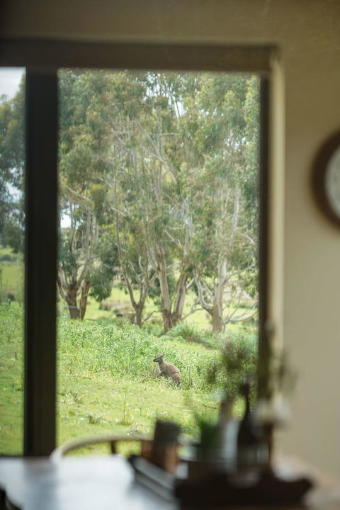 Adventure Bay Retreat Bruny Island - QLD Tourism 7