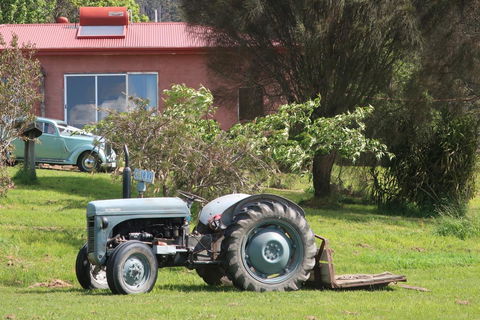 Cherry Top Farmstay - Boutique Eco Village - QLD Tourism 25