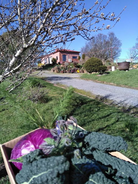 Cherry Top Farmstay - Boutique Eco Village - QLD Tourism 23