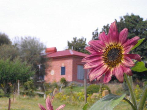 Cherry Top Farmstay - Boutique Eco Village - QLD Tourism 27