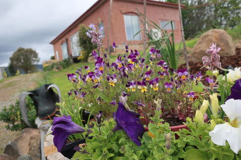 Cherry Top Farmstay - Boutique Eco Village - QLD Tourism 7