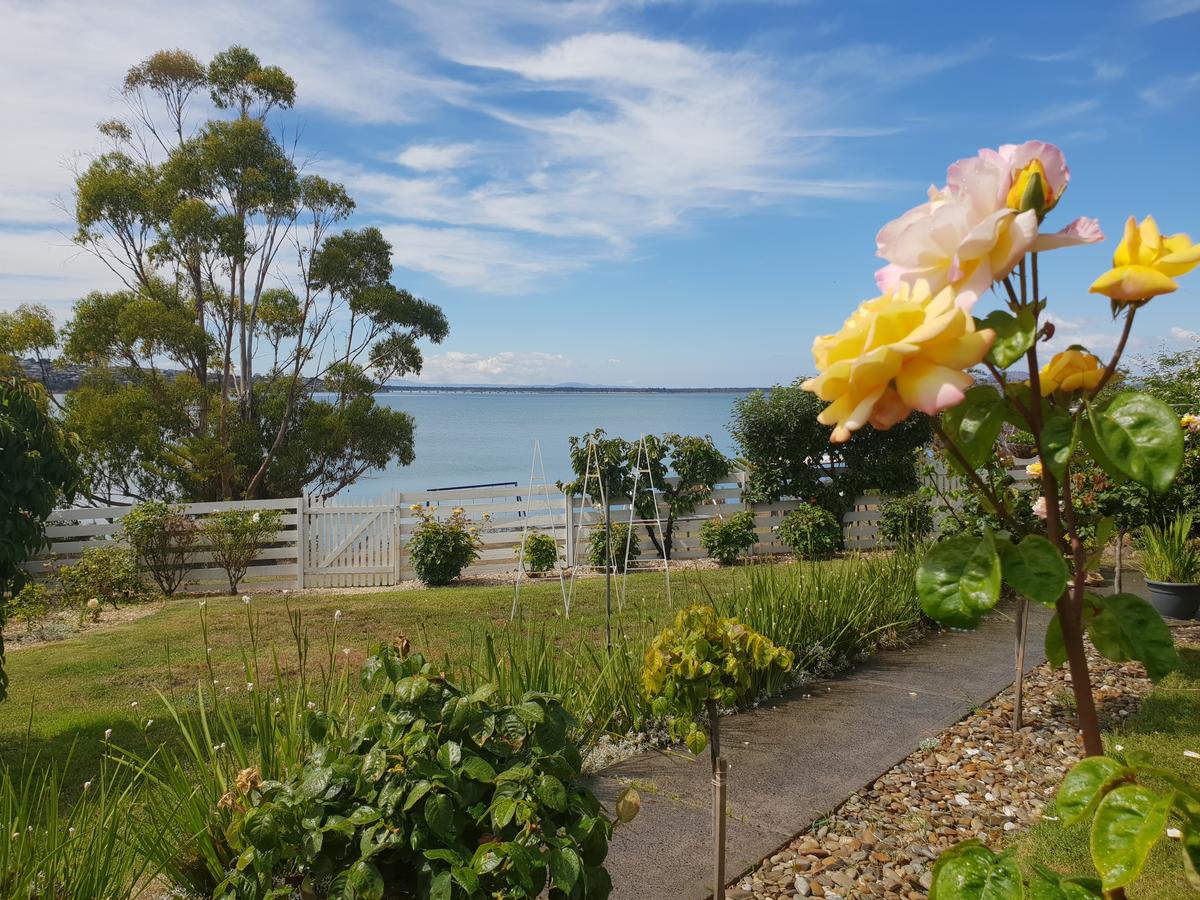 Garden By The Beach - Gateway To The East Coast, Close To Airport - thumb 23