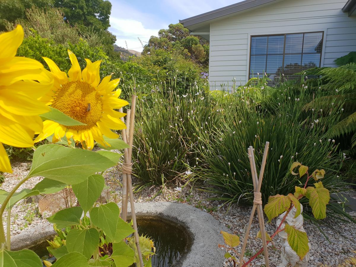 Garden By The Beach - Gateway To The East Coast, Close To Airport - thumb 13
