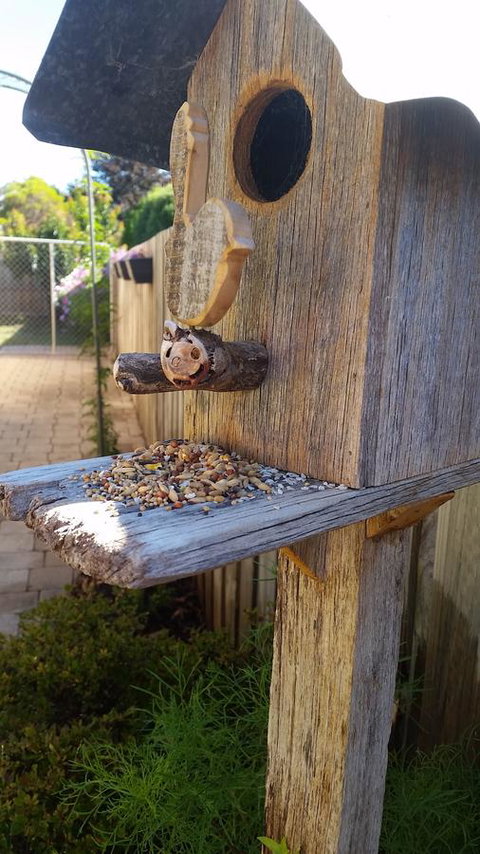 Driftwood-Cottage - Queensland Tourism 29