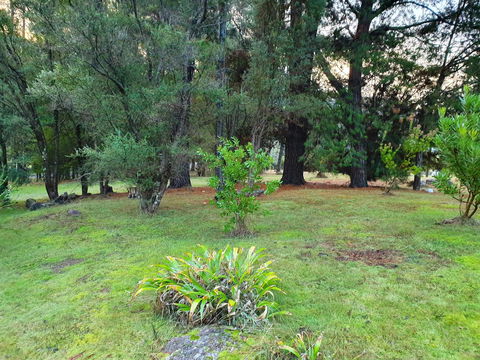 Roland B&B - QLD Tourism 31