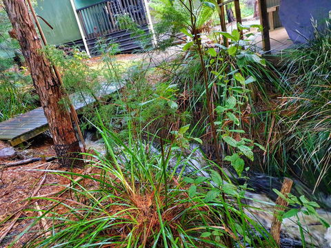 Roland B&B - QLD Tourism 17