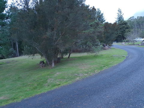 Roland B&B - QLD Tourism 23